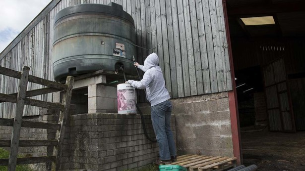 burgular stealing fuel from farm