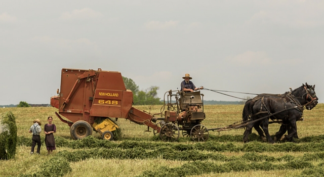 horse drawn hay maker