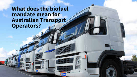 lots of volvo trucks in a line from Australian transport-operators